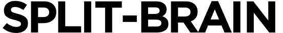 SPLIT-BRAIN